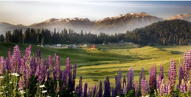 Top 5 Places to Visit in Gulmarg For Adventure and Scenic Beauty